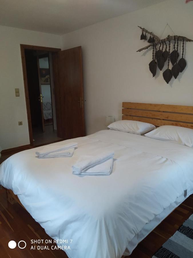 Hotel Xenonas Souliou Samonída Esterno foto